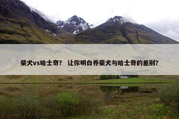 柴犬vs哈士奇？ 让你明白养柴犬与哈士奇的差别？