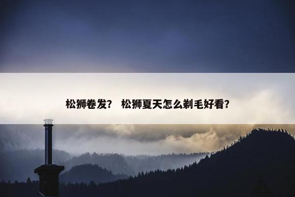 松狮卷发？ 松狮夏天怎么剃毛好看？
