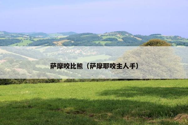 萨摩咬比熊（萨摩耶咬主人手）