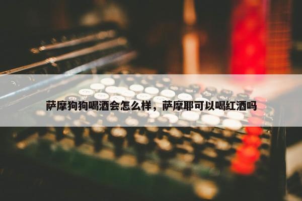 萨摩狗狗喝酒会怎么样，萨摩耶可以喝红酒吗