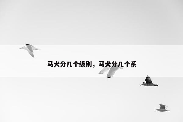 马犬分几个级别，马犬分几个系