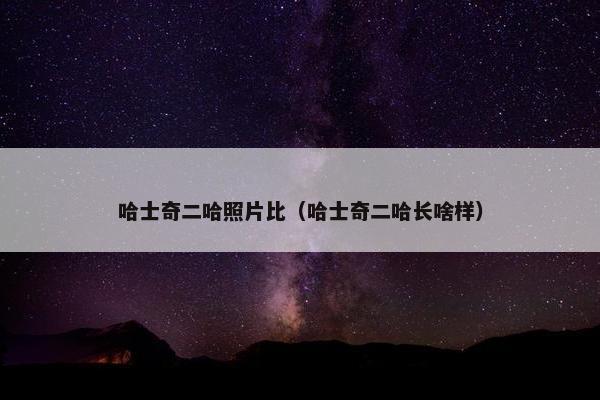 哈士奇二哈照片比（哈士奇二哈长啥样）