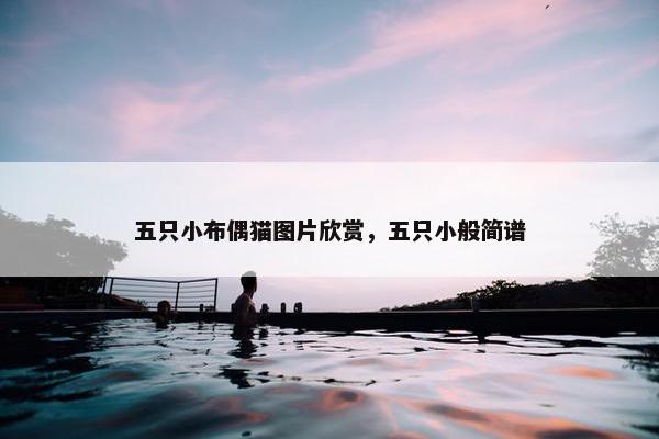 五只小布偶猫图片欣赏，五只小般简谱