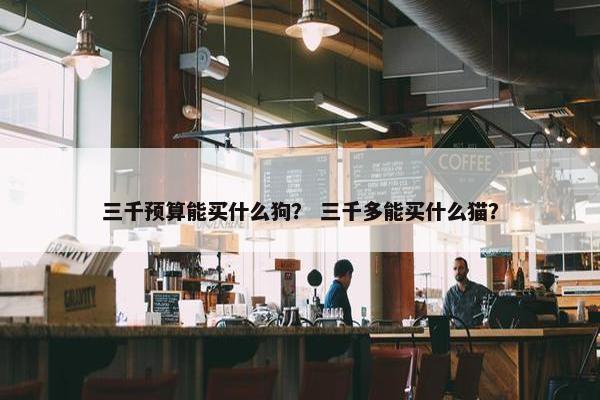 三千预算能买什么狗？ 三千多能买什么猫？