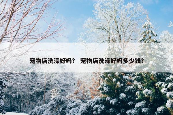 宠物店洗澡好吗？ 宠物店洗澡好吗多少钱？