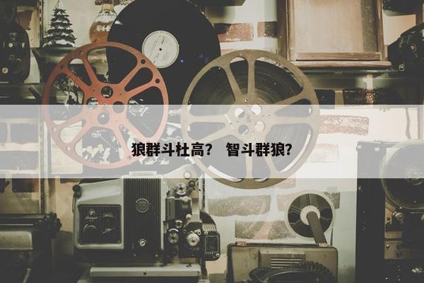 狼群斗杜高？ 智斗群狼？