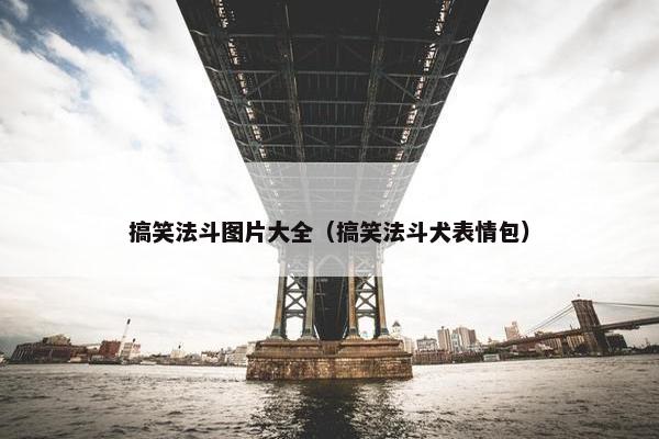 搞笑法斗图片大全（搞笑法斗犬表情包）