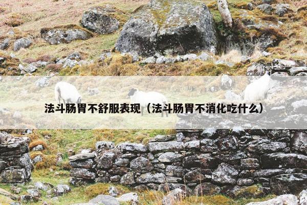 法斗肠胃不舒服表现（法斗肠胃不消化吃什么）