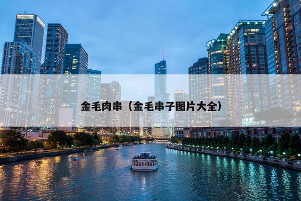 金毛肉串（金毛串子图片大全）
