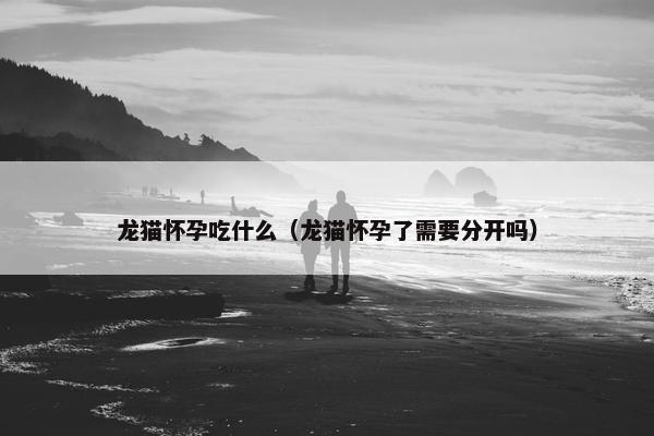 龙猫怀孕吃什么（龙猫怀孕了需要分开吗）