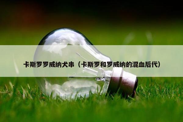 卡斯罗罗威纳犬串（卡斯罗和罗威纳的混血后代）