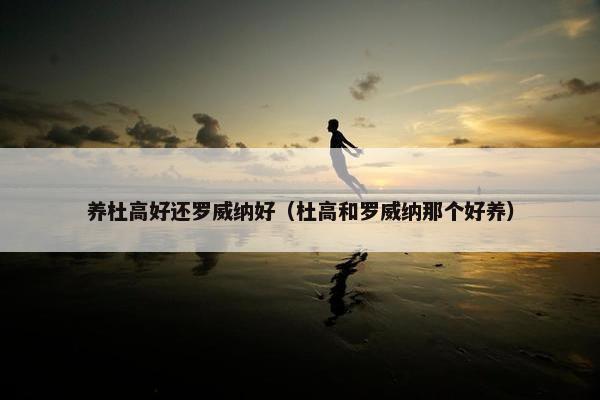 养杜高好还罗威纳好（杜高和罗威纳那个好养）