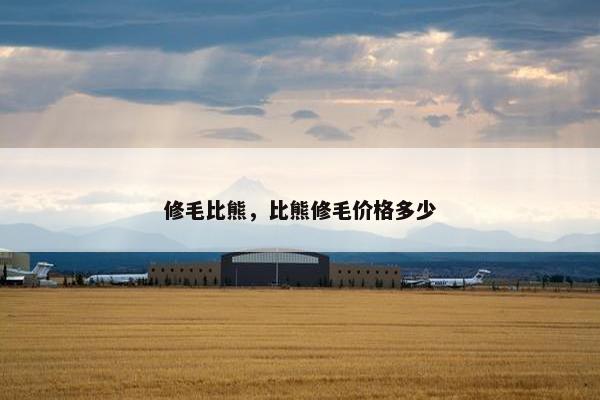 修毛比熊，比熊修毛价格多少