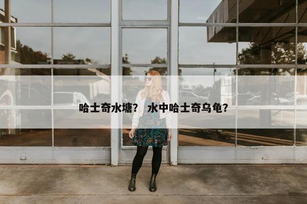 哈士奇水塘？ 水中哈士奇乌龟？