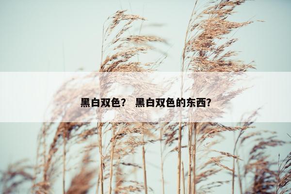 黑白双色？ 黑白双色的东西？