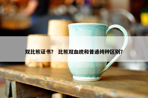 双比熊证书？ 比熊双血统和普通纯种区别？