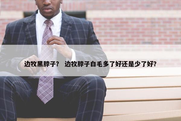 边牧黑脖子？ 边牧脖子白毛多了好还是少了好？