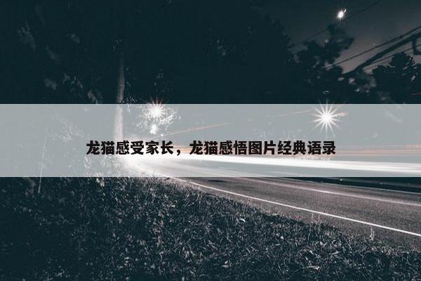 龙猫感受家长，龙猫感悟图片经典语录