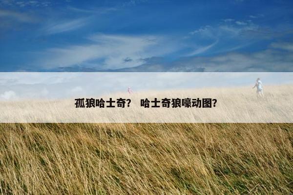 孤狼哈士奇？ 哈士奇狼嚎动图？