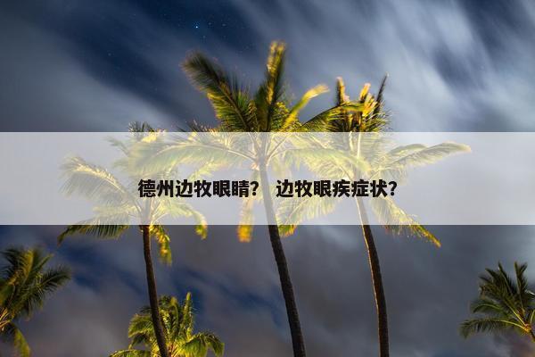 德州边牧眼睛？ 边牧眼疾症状？