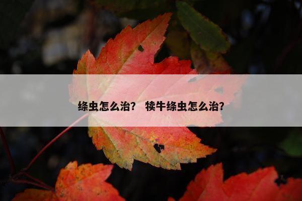绦虫怎么治？ 犊牛绦虫怎么治？