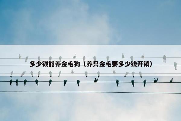 多少钱能养金毛狗（养只金毛要多少钱开销）