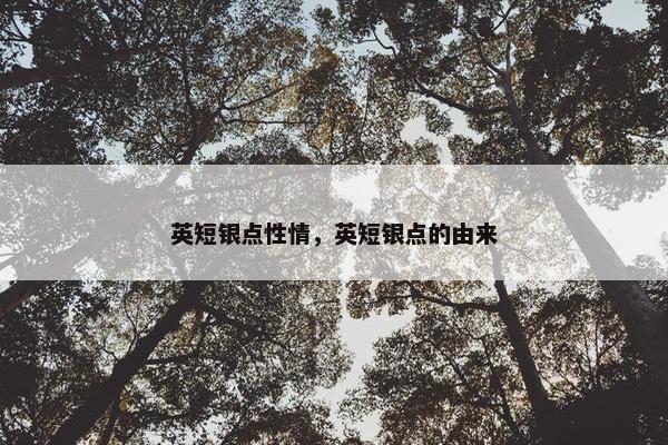 英短银点性情，英短银点的由来