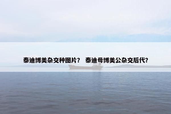 泰迪博美杂交种图片？ 泰迪母博美公杂交后代？