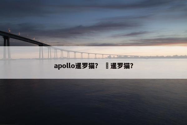 apollo暹罗猫？  暹罗猫？
