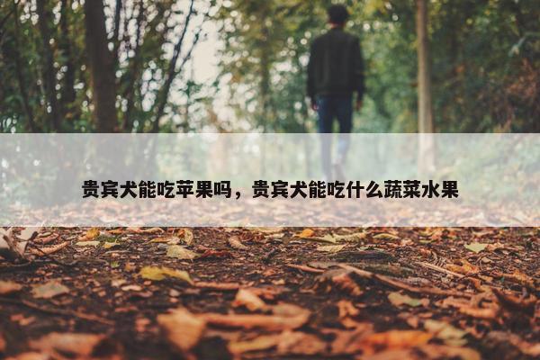 贵宾犬能吃苹果吗，贵宾犬能吃什么蔬菜水果