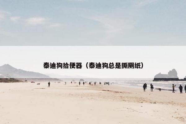 泰迪狗拾便器（泰迪狗总是撕厕纸）