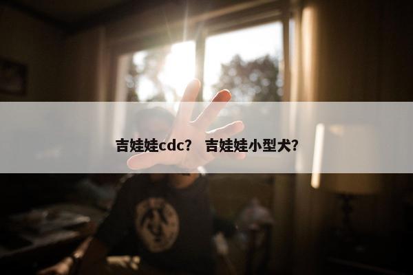 吉娃娃cdc？ 吉娃娃小型犬？