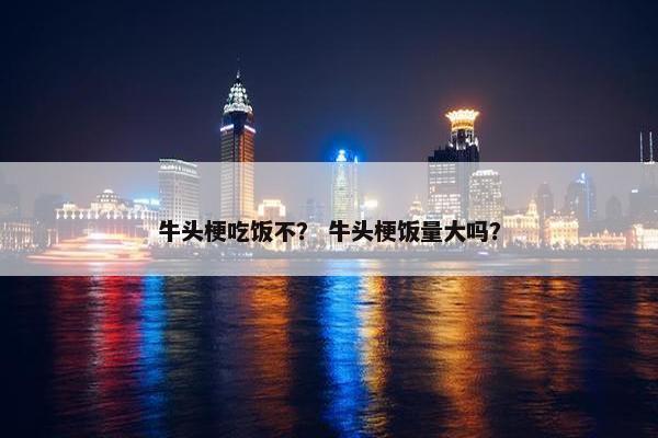 牛头梗吃饭不？ 牛头梗饭量大吗？
