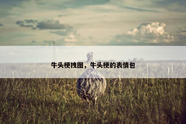 牛头梗拽图，牛头梗的表情包