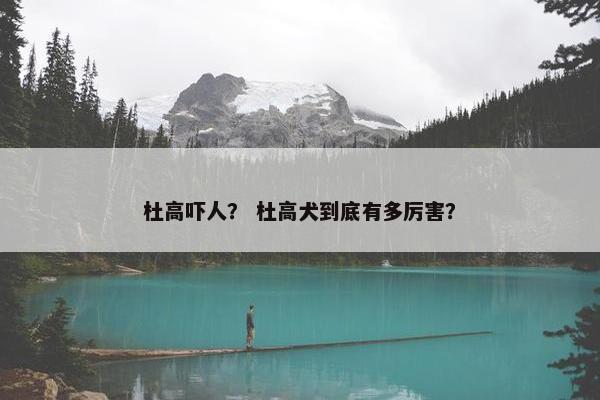 杜高吓人？ 杜高犬到底有多厉害？