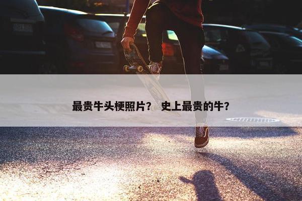 最贵牛头梗照片？ 史上最贵的牛？