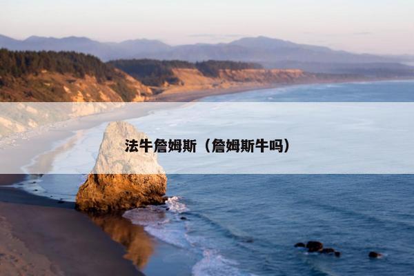 法牛詹姆斯（詹姆斯牛吗）