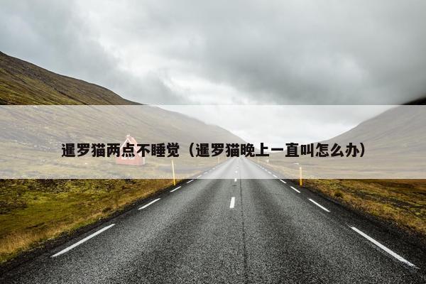 暹罗猫两点不睡觉（暹罗猫晚上一直叫怎么办）