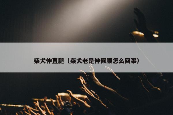 柴犬伸直腿（柴犬老是伸懒腰怎么回事）