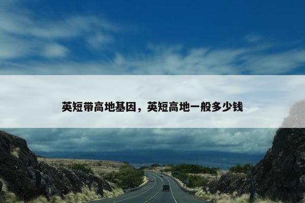 英短带高地基因，英短高地一般多少钱