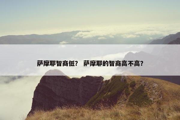 萨摩耶智商低？ 萨摩耶的智商高不高？