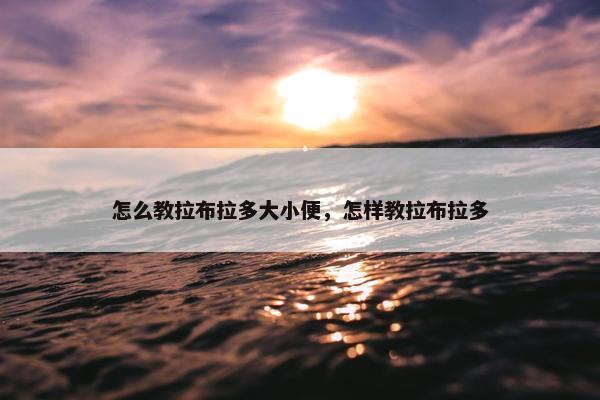 怎么教拉布拉多大小便，怎样教拉布拉多