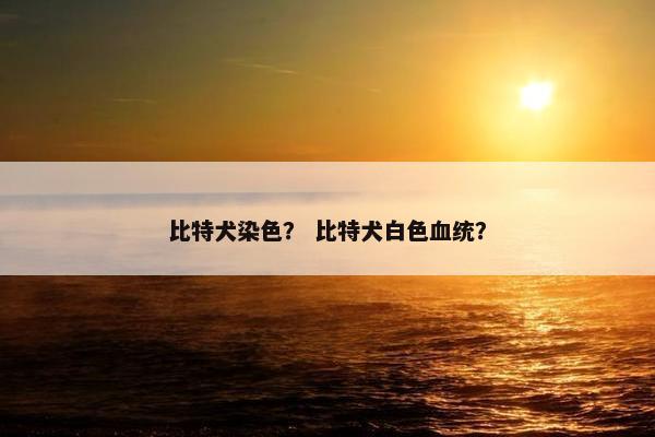比特犬染色？ 比特犬白色血统？