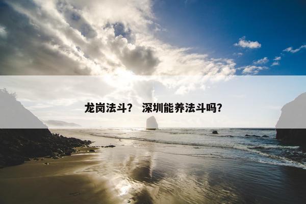 龙岗法斗？ 深圳能养法斗吗？