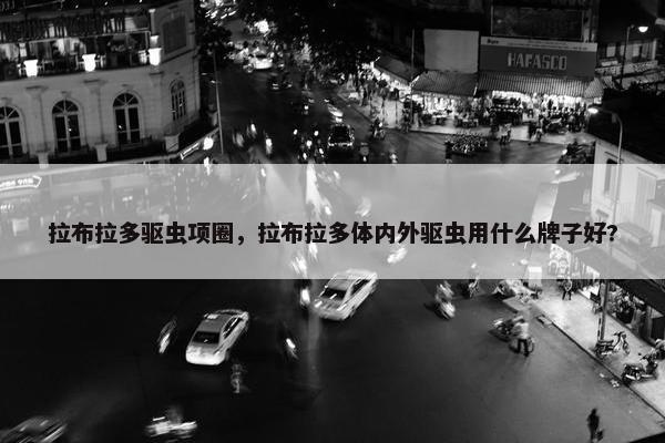 拉布拉多驱虫项圈，拉布拉多体内外驱虫用什么牌子好?