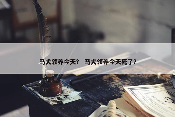 马犬领养今天？ 马犬领养今天死了？
