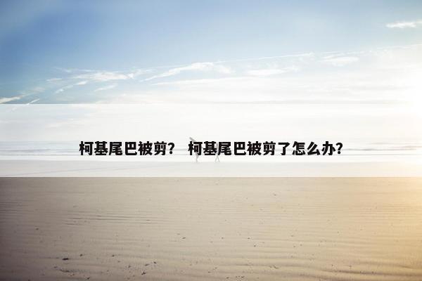 柯基尾巴被剪？ 柯基尾巴被剪了怎么办？