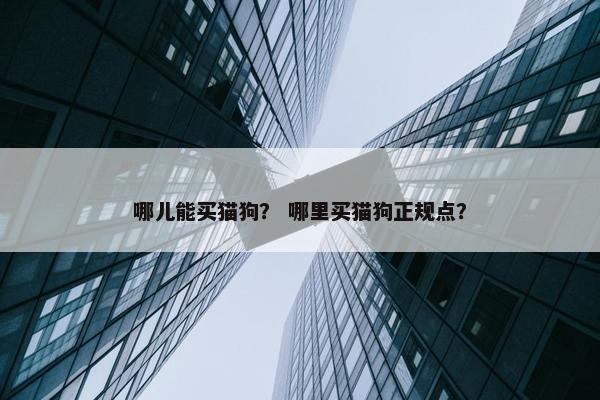 哪儿能买猫狗？ 哪里买猫狗正规点？