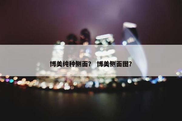 博美纯种侧面？ 博美侧面图？