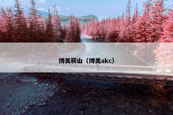博美鞍山（博美akc）